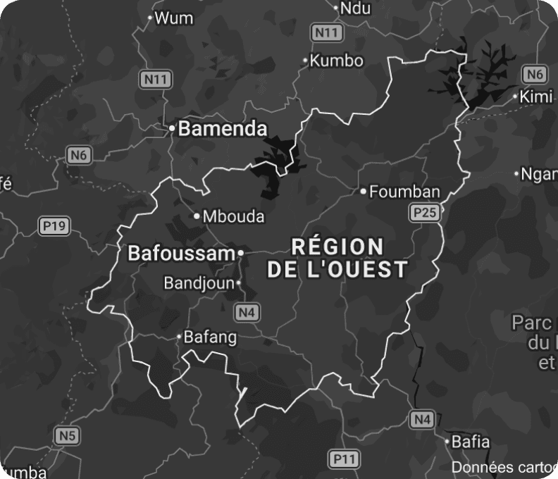 Carte interactive du Cameroun