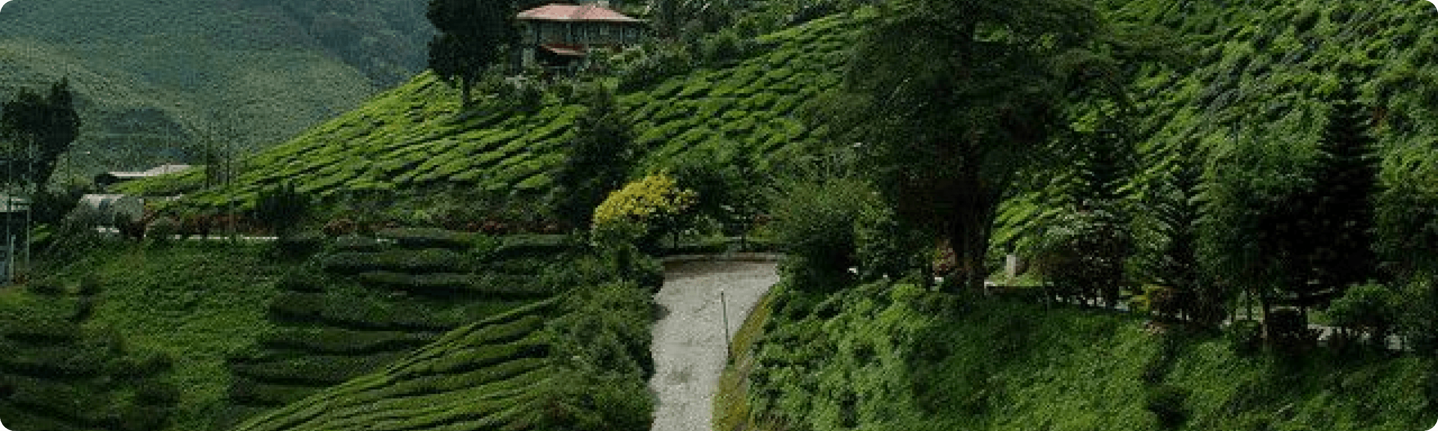 Services WandaTour