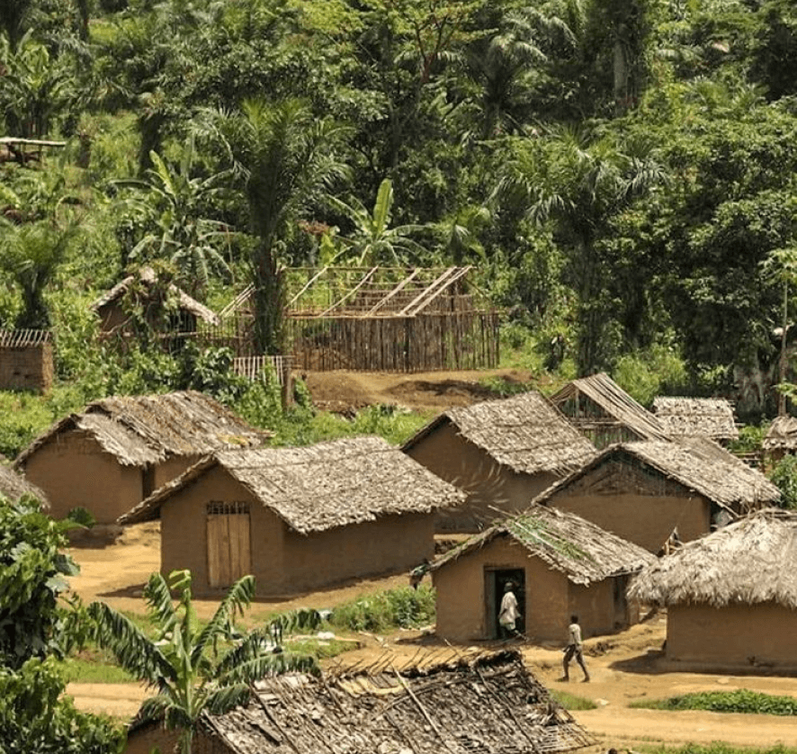 Campement du Bamboutos